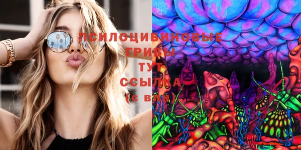 ECSTASY Баксан